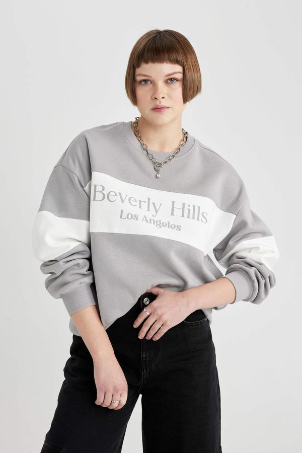 DEFACTO DEFACTO Relax Fit Printed Long Sleeve Sweatshirt