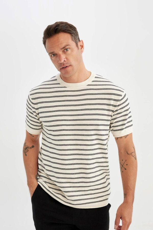 DEFACTO DEFACTO Relax Fit Striped Short Sleeve T-Shirt