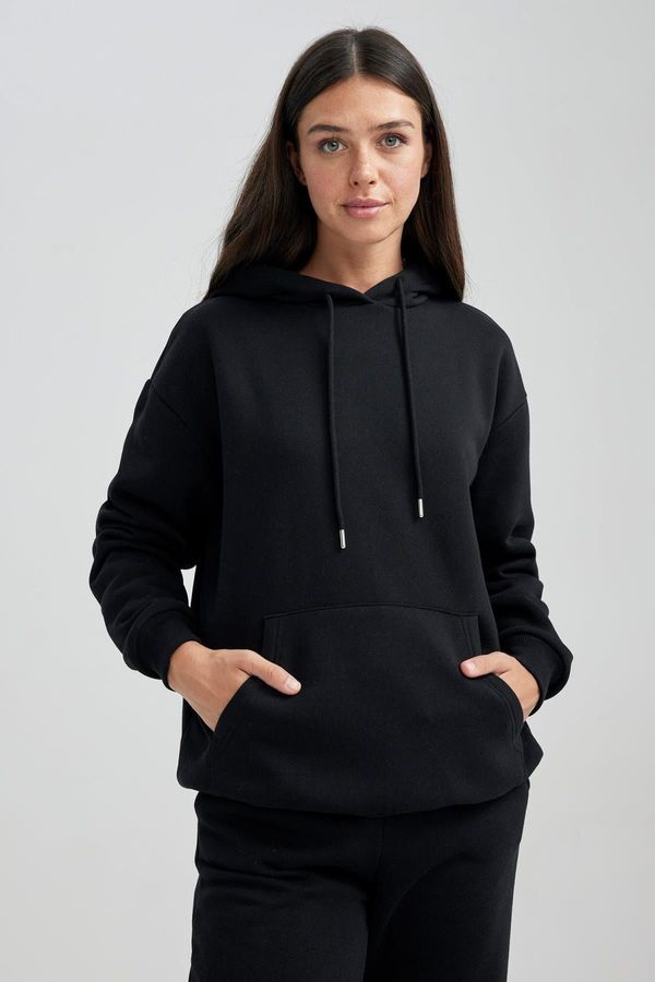 DEFACTO DEFACTO Relax Fit Thick Hooded Sweatshirt