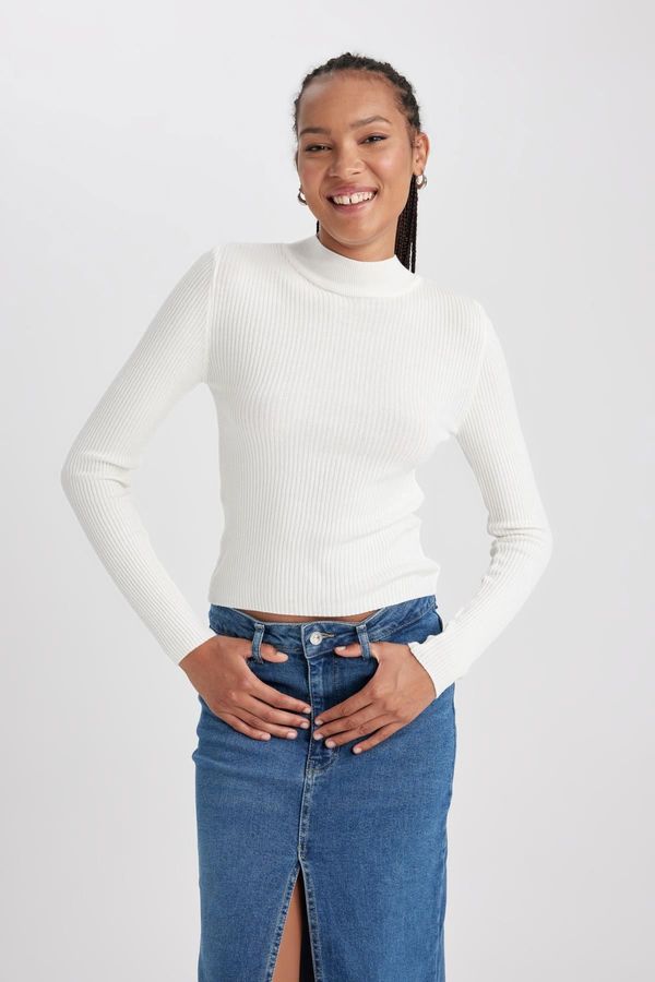 DEFACTO DEFACTO Slim Fit Half Turtleneck Sweater