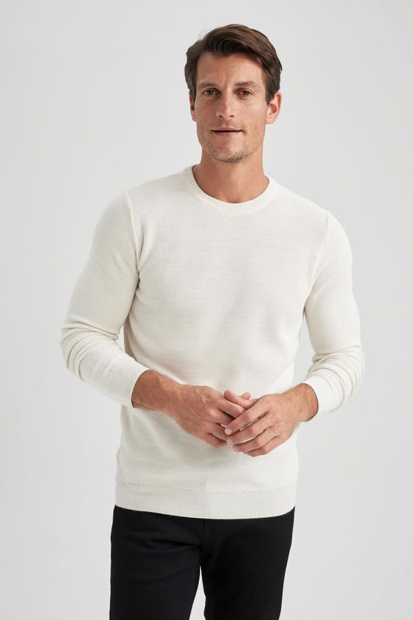 DEFACTO DEFACTO Slim Fit Slim Cut Crew Neck Basic Plain Knitwear Sweater