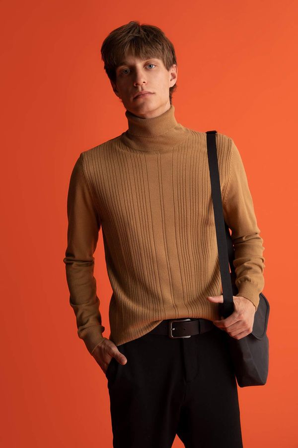 DEFACTO DEFACTO Slim Fit Turtleneck Pullover