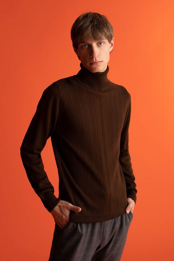 DEFACTO DEFACTO Slim Fit Turtleneck Pullover