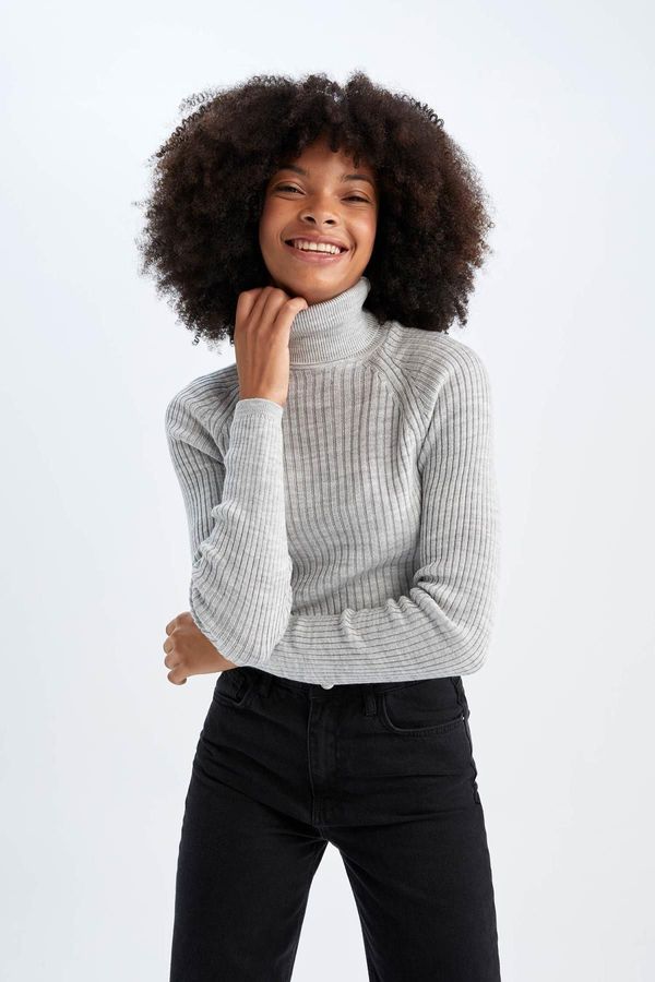 DEFACTO DEFACTO Slim Fit Turtleneck Sweater