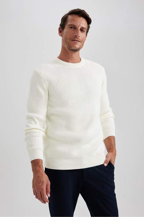 DEFACTO DEFACTO Standard Fit Crew Neck Knitwear Pullover