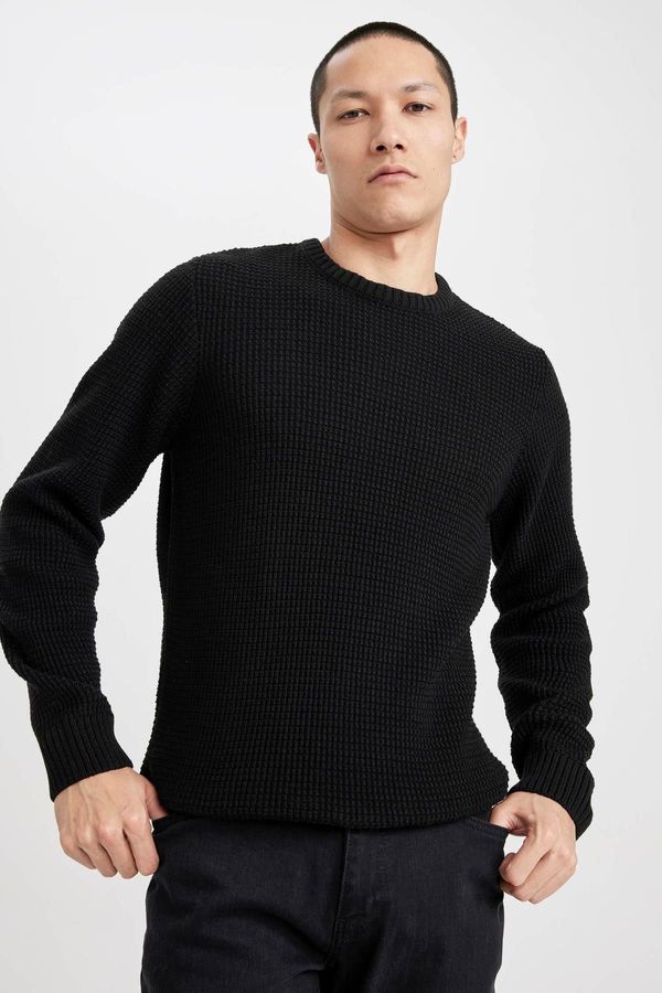 DEFACTO DEFACTO Standard Fit Crew Neck Knitwear Sweater