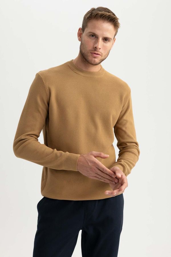 DEFACTO DEFACTO Standard Fit Crew Neck Knitwear Sweater