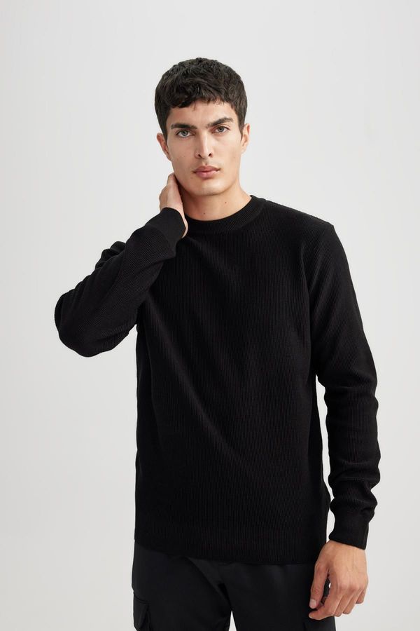 DEFACTO DEFACTO Standard Fit Crew Neck Sweater