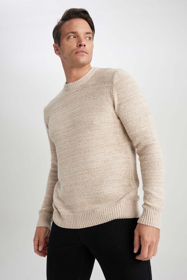 DEFACTO DEFACTO Standard Fit Crew Neck Sweater