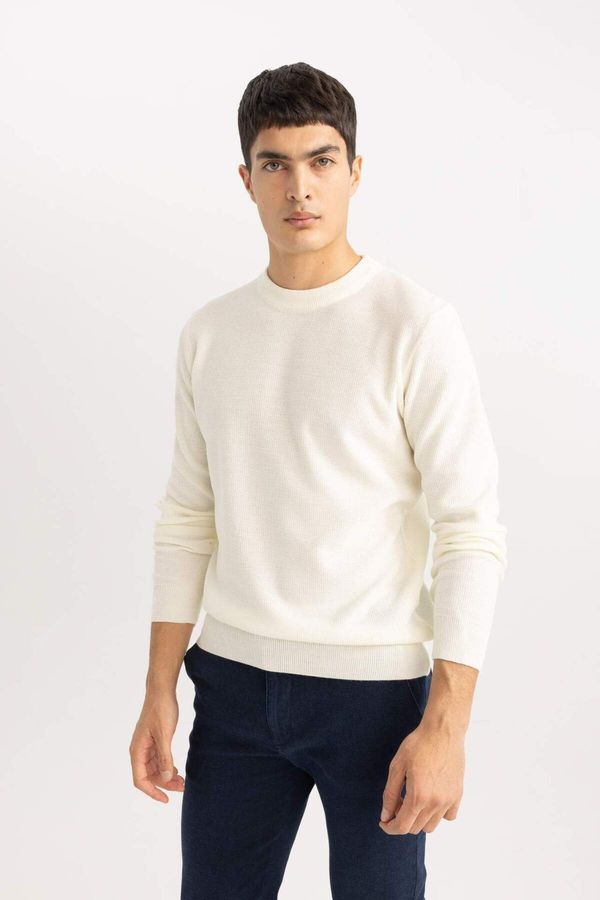 DEFACTO DEFACTO Standard Fit Regular Cut Crew Neck Mouline Patterned Knitwear Sweater