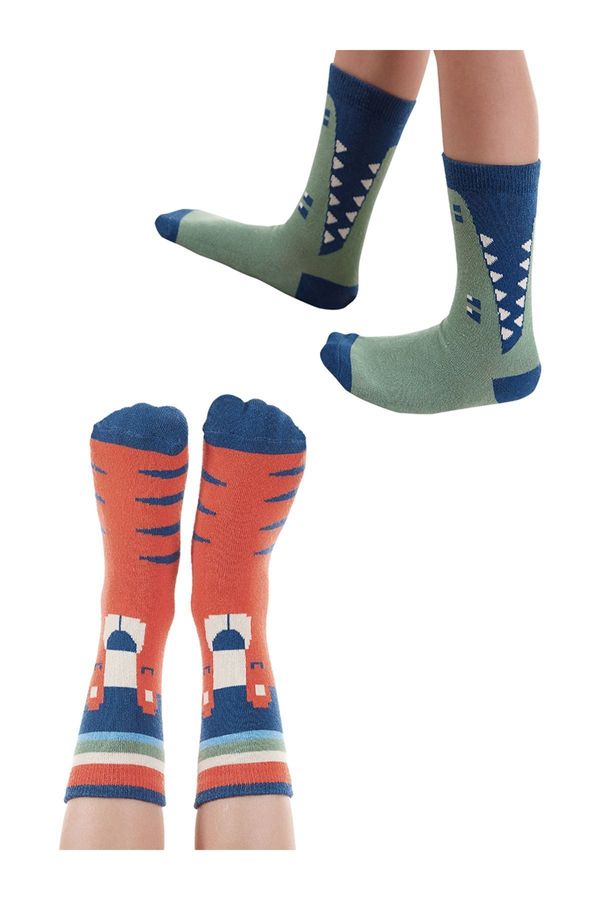 Denokids Denokids Animals Boy's 2-Piece Sock Socks