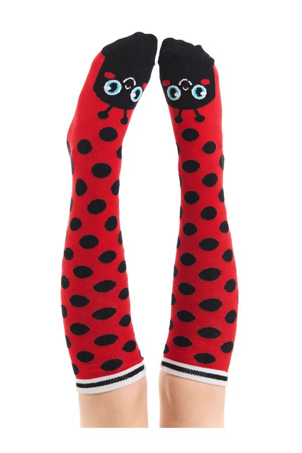 Denokids Denokids Ladybug Girls Knee Socks