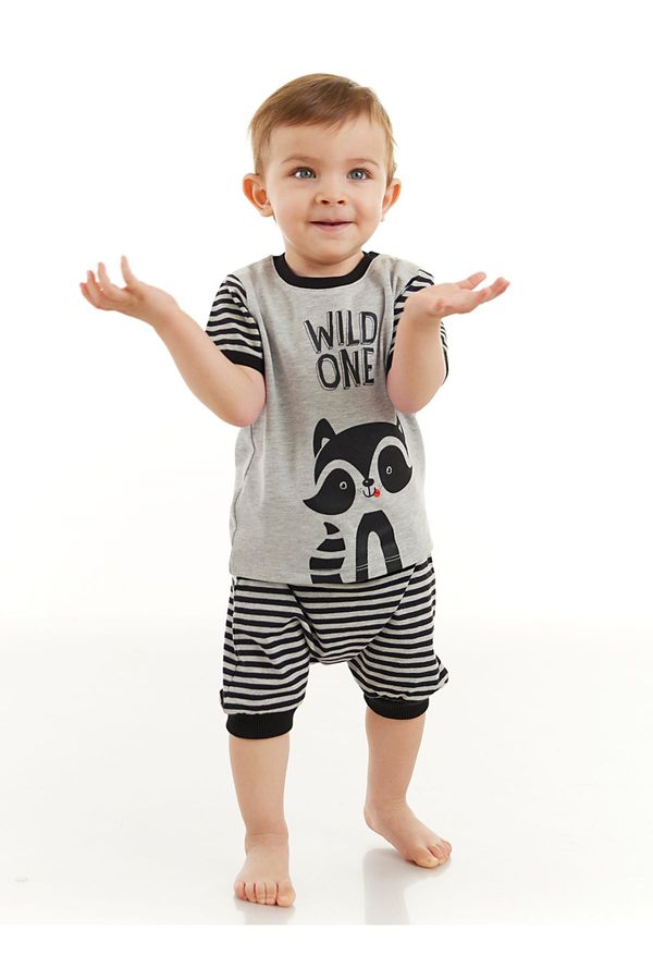 Denokids Denokids Raccoon Baby Boy T-shirt Capri Shorts Set