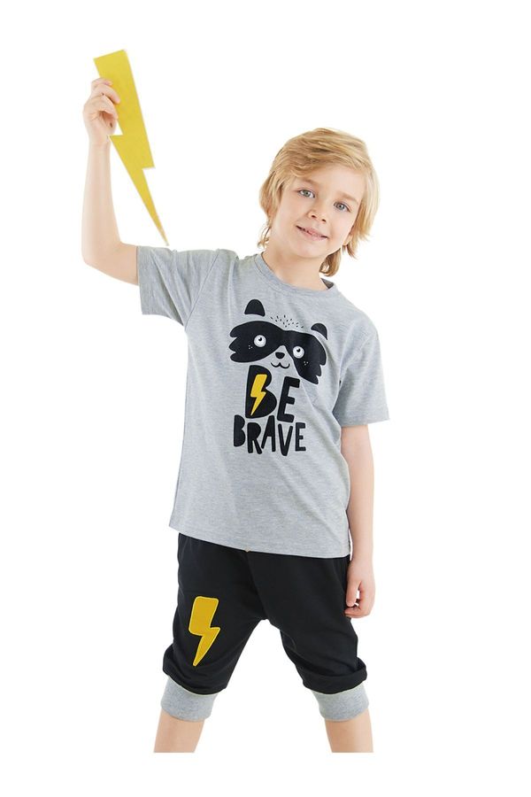 Denokids Denokids Raccoon Boy's Summer T-shirt Capri Shorts Set