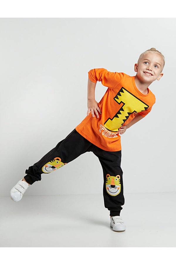 Denokids Denokids T Tiger Boys Pants T-shirt Suit