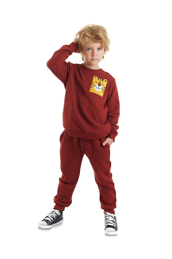 Denokids Denokids Tiger Boy Tracksuit Set