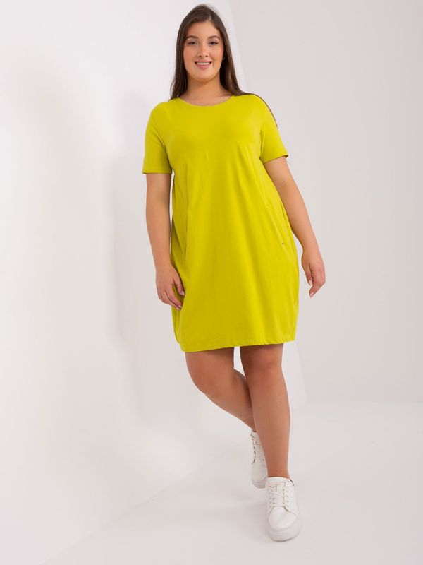 RELEVANCE Dress-RV-SK-8768.17P-Lime