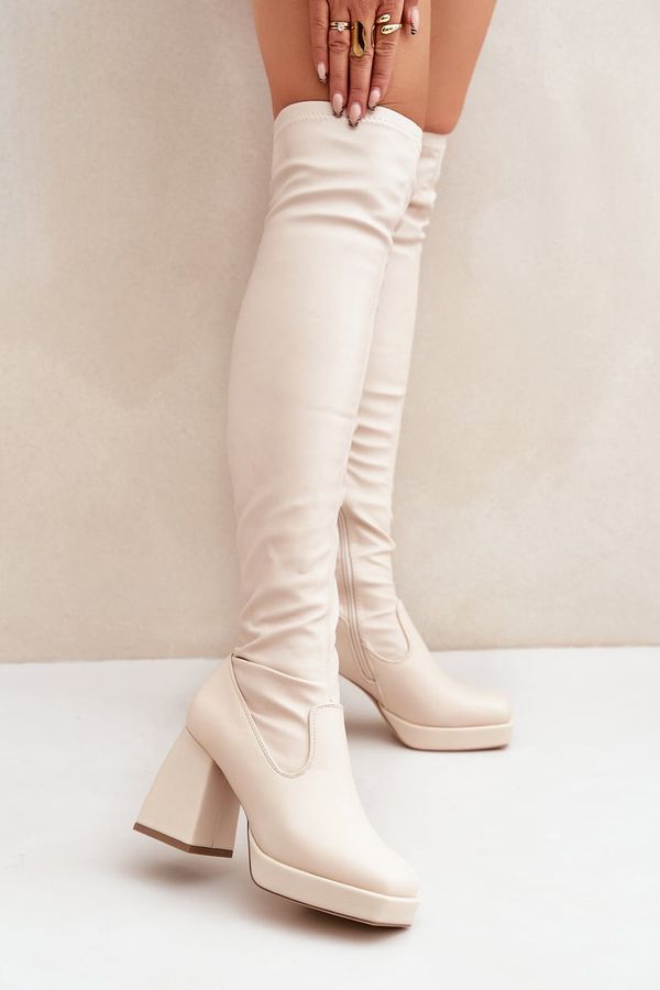 FS1 FS1 Fitted knee-high boots with a heel in light beige Sanniraen