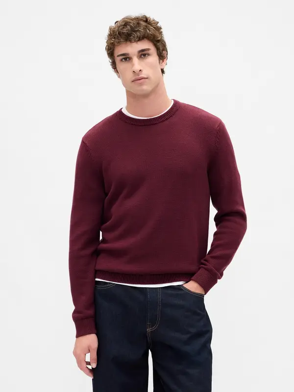 GAP GAP Knitted Sweater - Men's