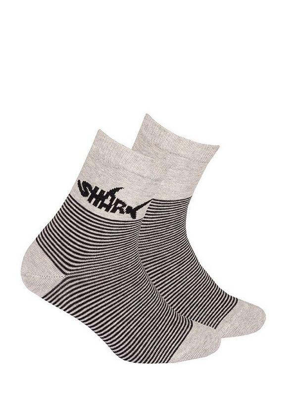 Gatta Gatta G34 socks. N01 Cottoline Boys' Modeled 27-32 Aluminum 220