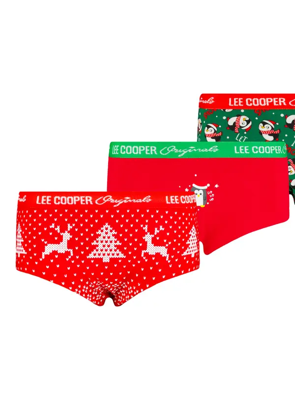 Licensed Girls knickers 3P Lee Cooper
