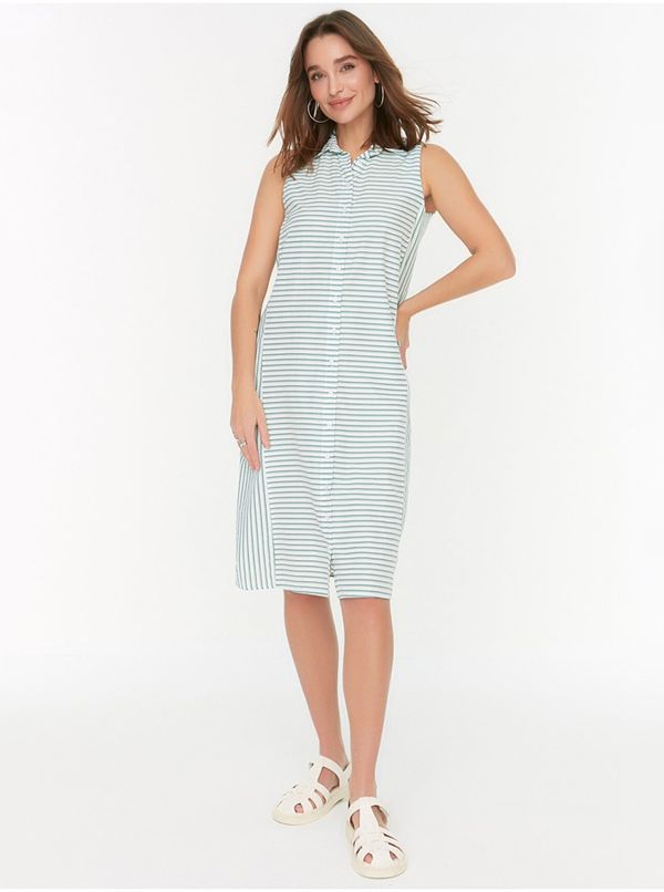 Trendyol Green and White Women's Striped Shirt Dress Trendyol - Women's