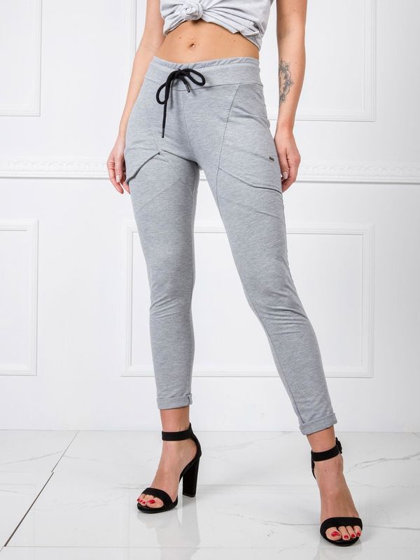 Fashionhunters Grey cotton sweatpants