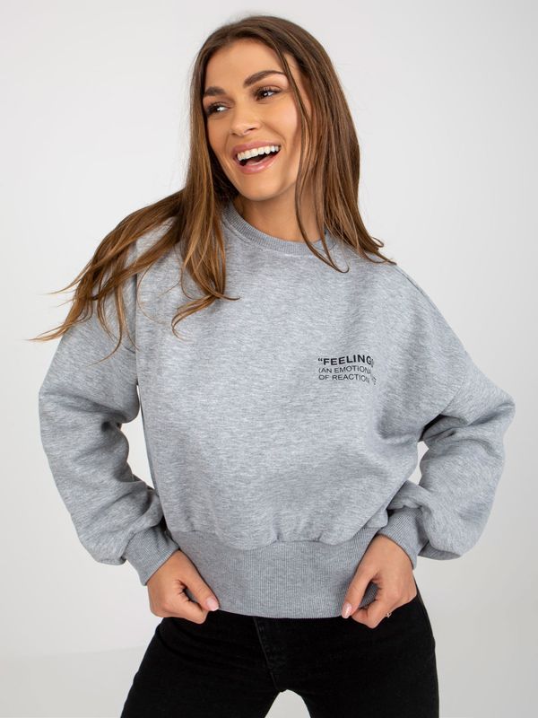 Fashionhunters Grey hoodie with inscription