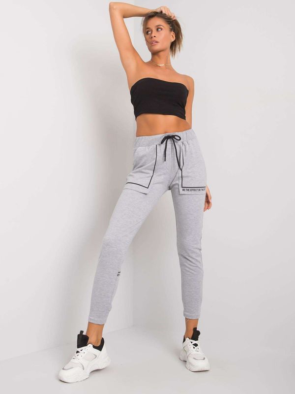 Fashionhunters Grey sweatpants with pockets