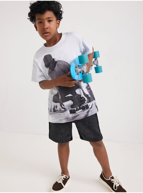 DESIGUAL Grey-white boys' T-shirt with print Desigual Mango - Boys