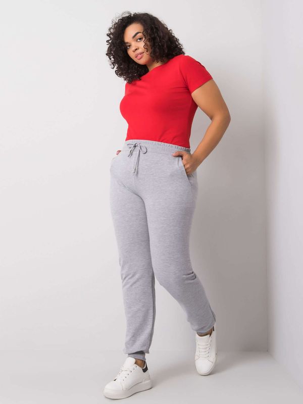 Fashionhunters Grey Women's Oversized Sweatpants melange