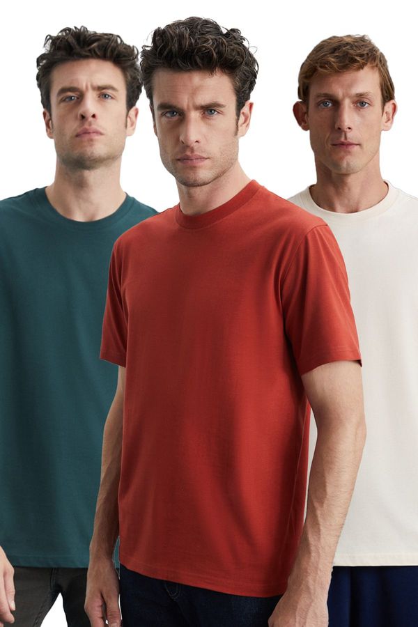GRIMELANGE GRIMELANGE Cultivated Men's 3-Pack Thick Texture Regular 100% Organic Cotton Vnly/kgreen/krmt T-shir