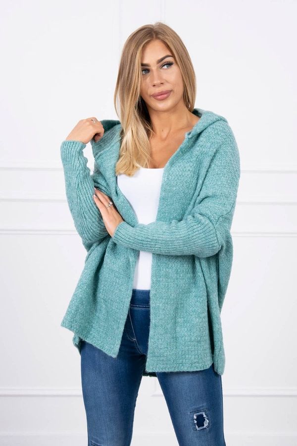 Kesi Hooded sweater with batwing sleeve light green