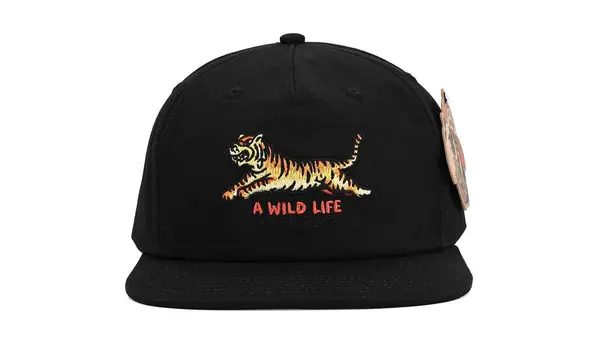 The Dudes Kapa The Dudes A Wild Life