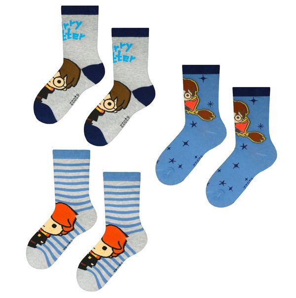 Licensed Kids socks Harry Potter 3P Frogies