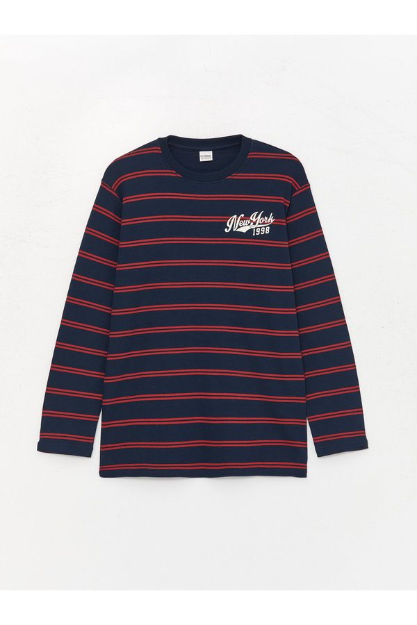 LC Waikiki LC Waikiki Crew Neck Striped Long Sleeve Boys' T-Shirt