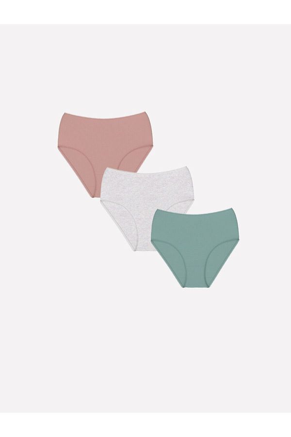 LC Waikiki LC Waikiki Lw - Plain Classic Panties 3 Pack