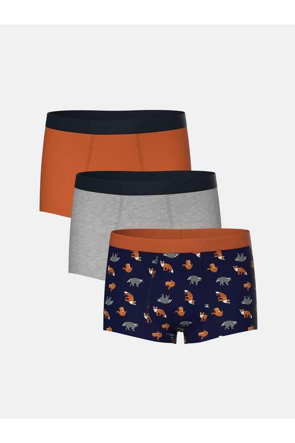 LC Waikiki LC Waikiki Printed Boy's Boxer Set of 3