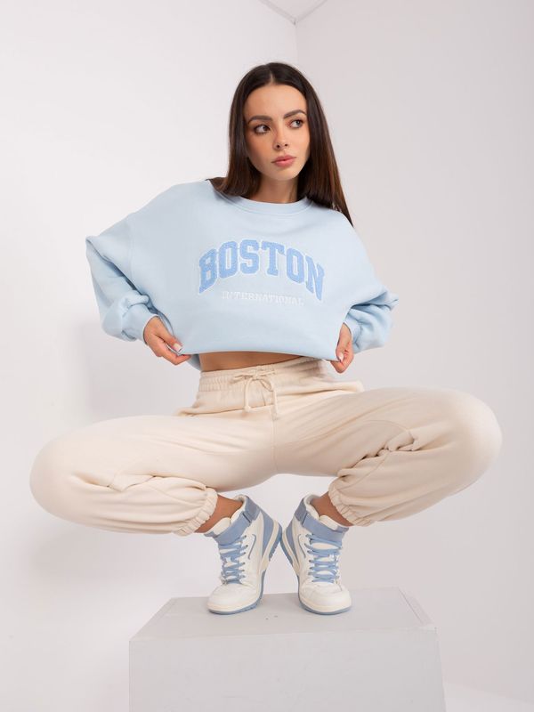 Fashionhunters Light blue oversized hoodie