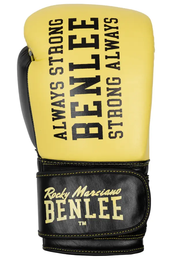 Benlee Lonsdale Leather boxing gloves