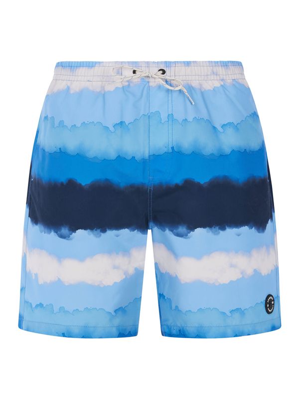 Protest Men's beach shorts Protest PRTHAMSEY