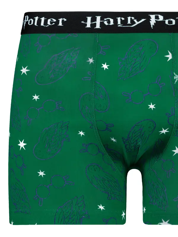 Licensed Men's boxer Harry Potter - Frogies