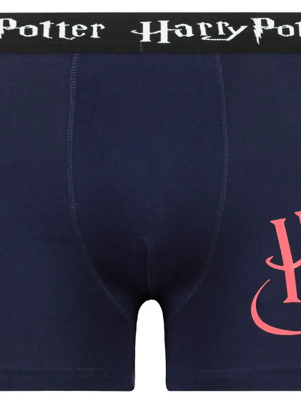 Licensed Men's boxer Harry Potter - Frogies
