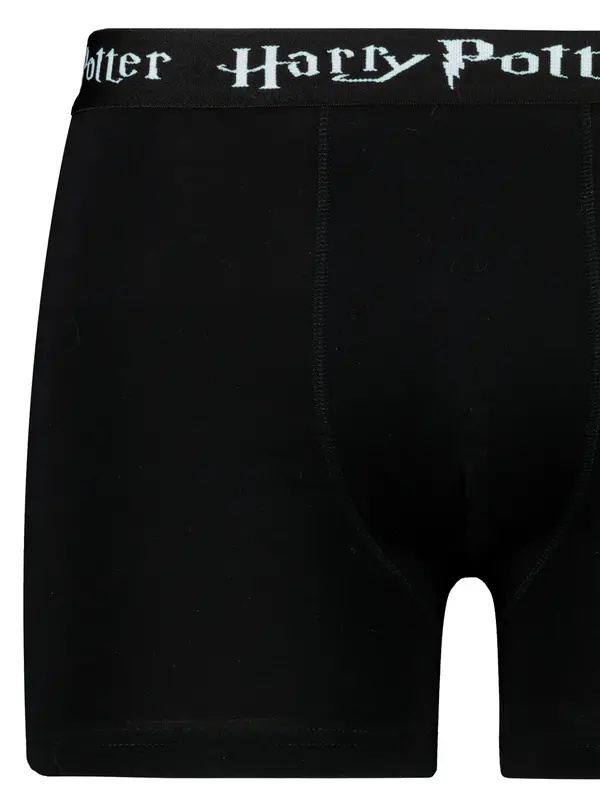 Licensed Men's boxer Harry Potter - Frogies