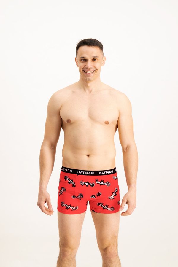 Licensed Men's boxers Batman 1P - Frogies