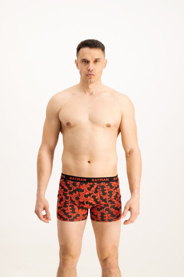 Licensed Men's boxers Batman 1P - Frogies