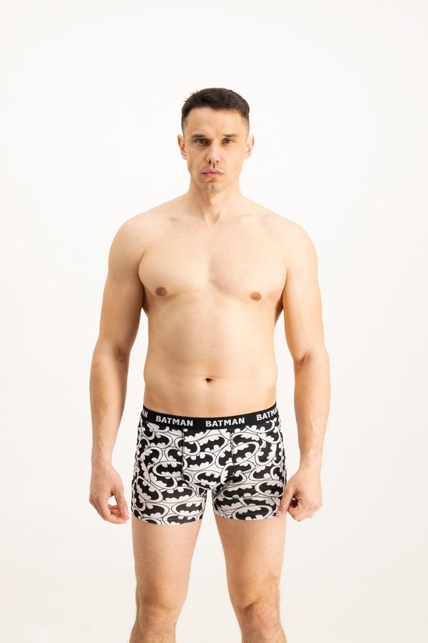 Licensed Men's boxers Batman 1P - Frogies