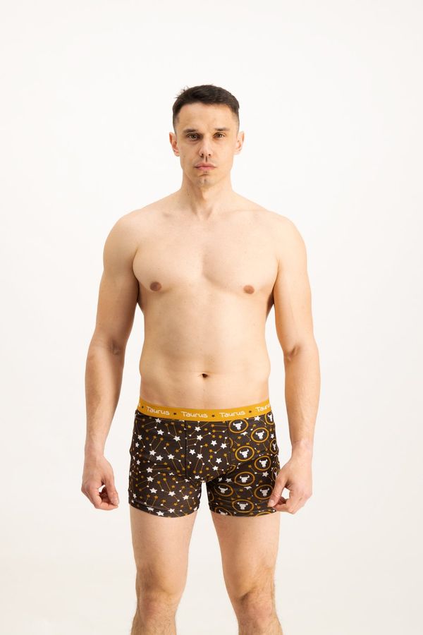 Frogies Men's boxers Frogies Zodiac Bik