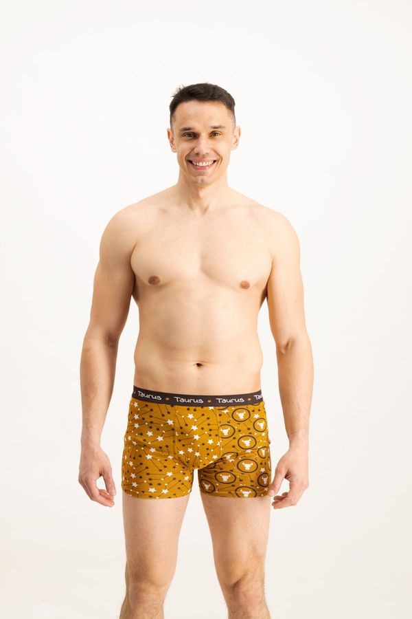 Frogies Men's boxers Frogies Zodiac Bik