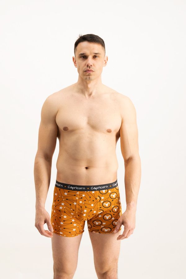 Frogies Men's boxers Frogies Zodiac Kozorog